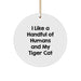 Funny Tiger Cat Love Gifts from Friends, Circle Ornament for Tiger Cat Lovers, Christmas Unique Decoration Gifts for Men Women Family - Image 1