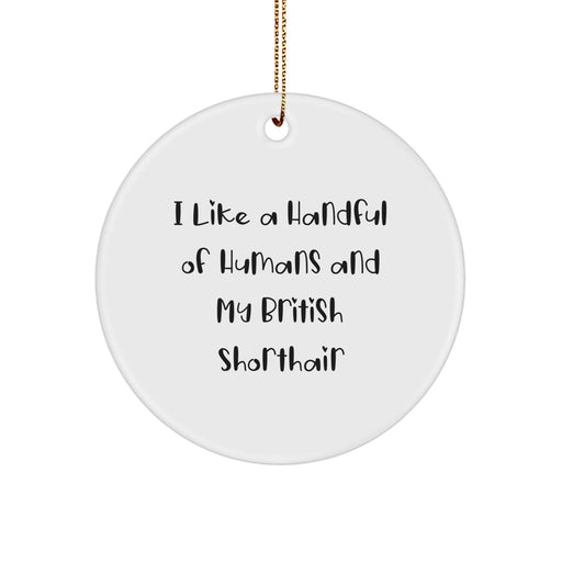 British Shorthair Cat Lover Gifts from Men - Funny Christmas Unique Ornaments for Women, Friends and Family - Image 1