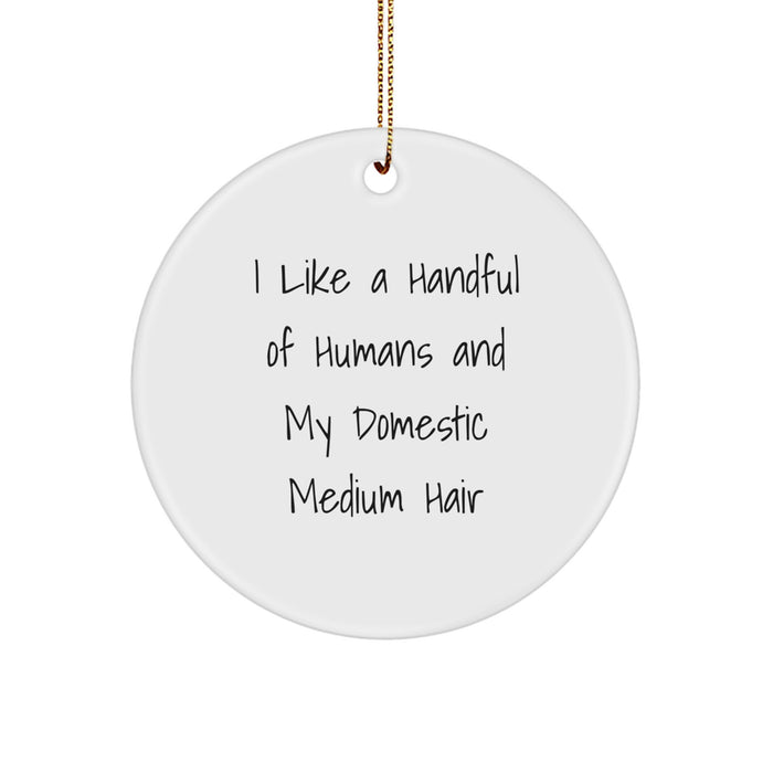 Funny Domestic Medium Hair Lover Gifts from Friends for Christmas Unique Circle Ornament - Image 1