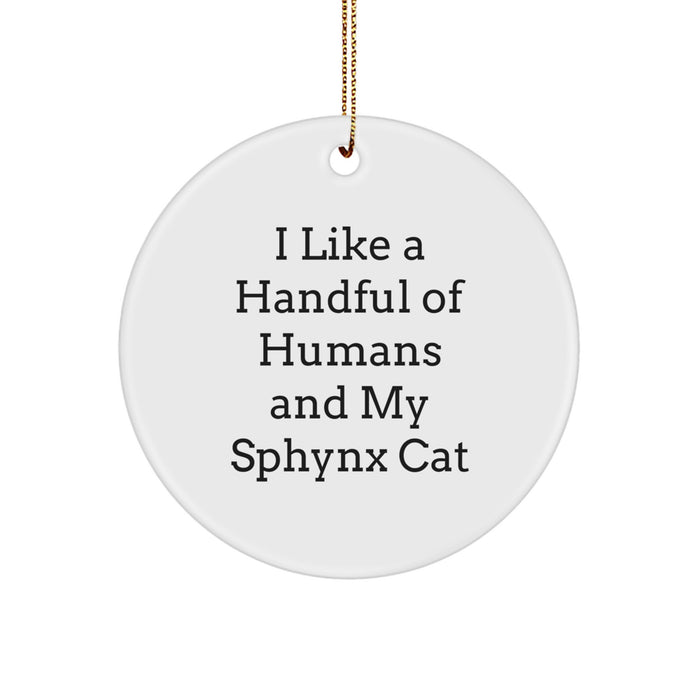 Unique Sphynx Cat Christmas Circle Ornament, Funny Sphynx Cat Gifts, 'I Like A Handful Of Humans And My Sphynx Cat' for Family Friends - Image 1