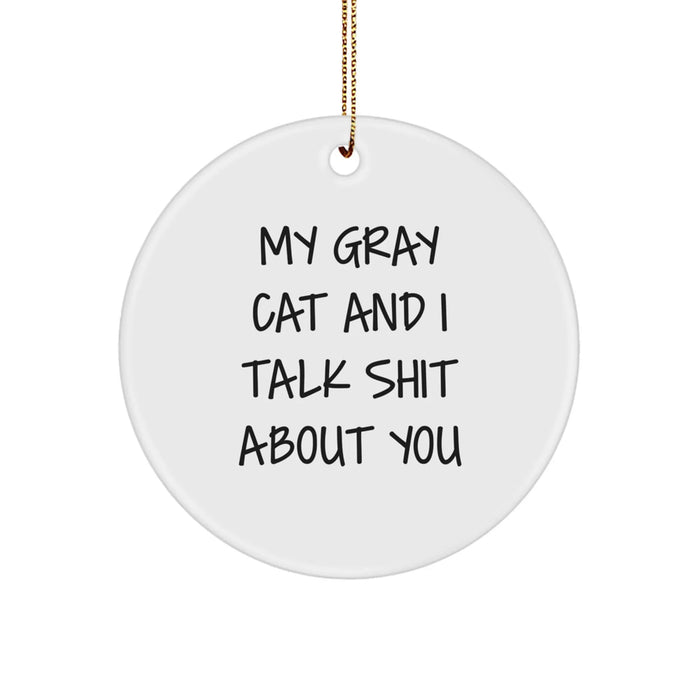 Funny Gray Cat Circle Ornament Gifts for Friends, Coworkers, and Family - 'My Gray Cat And I Talk Shit About You' Christmas Decorations - Image 1