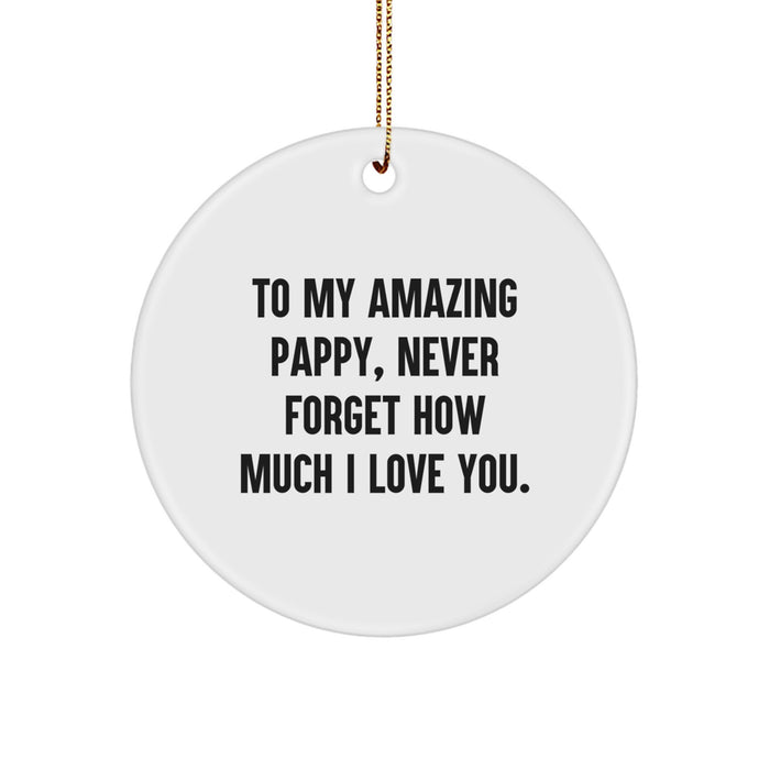Pappy Circle Ornament, Funny Quote, Gifts for Amazing Pappy from Family, Christmas Unique Gifts - Image 1