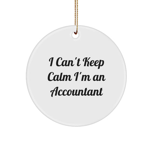 Funny Accountant Gifts for Men and Women - Circle Ornament with I Can't Keep Calm I'm An Accountant - Christmas Unique Gifts from Friends and Family - Image 1