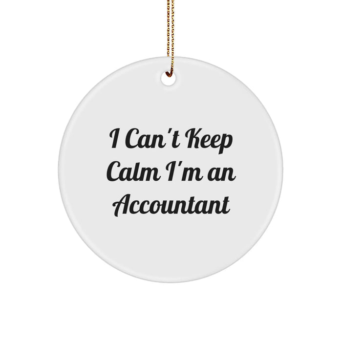 Funny Accountant Gifts for Men and Women - Circle Ornament with I Can't Keep Calm I'm An Accountant - Christmas Unique Gifts from Friends and Family - Image 1
