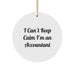Funny Accountant Gifts for Men and Women - Circle Ornament with I Can't Keep Calm I'm An Accountant - Christmas Unique Gifts from Friends and Family - Image 1