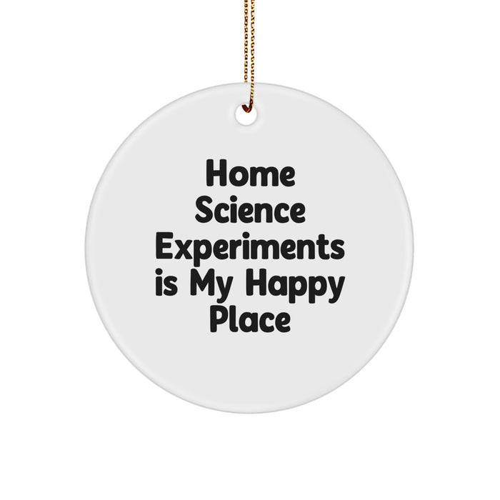 'Home Science Experiments' Brings Joy! Gifts from Family for Home Science Experiments Enthusiasts, Circle Ornament for Christmas, White, 2.75in - Image 1
