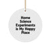 'Home Science Experiments' Brings Joy! Gifts from Family for Home Science Experiments Enthusiasts, Circle Ornament for Christmas, White, 2.75in - Image 1