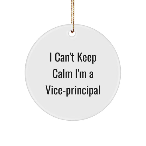 Funny Vice-principal Gifts for Men Women Friends Coworkers Family, I Can't Keep Calm I'm A Vice-principal Circle Ornament, Christmas Unique Decorations - Image 1
