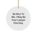 Funny Lawyer Gifts for Men, Christmas Unique Circle Ornament, 'Be Nice To Me, I May Be Your Lawyer One Day', Gifts from Friends to Family - Image 1