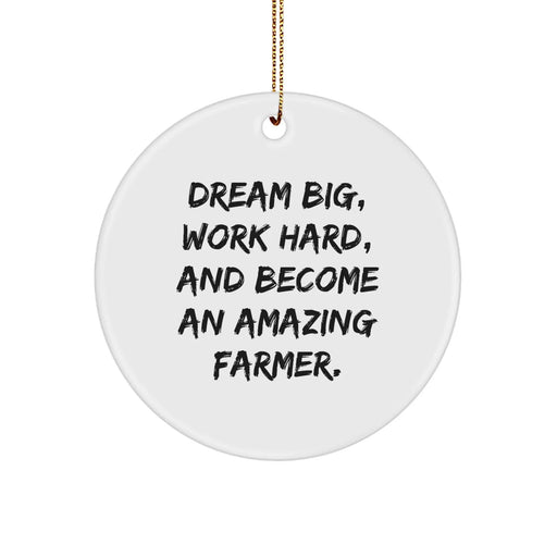 Dream Big Funny Farmer Christmas Unique Gifts from Family for Farmer - Image 1
