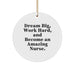 Funny Nurse Gifts for Christmas - 'Dream Big, Work Hard, And Become An Amazing Nurse.' Circle Ornament, Great for Nurses from Family, Friends, Coworkers, or Men - Image 1