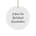 Funny Grandmother Gifts from Men to Circle Ornament for Christmas - 'I Have the Best Great Grandmother' Quote - Image 1