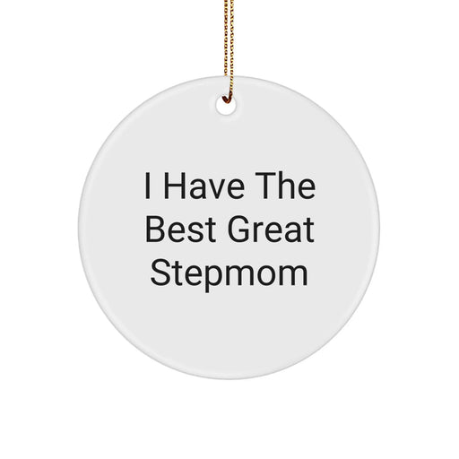 Funny Stepmom Gifts from Men for Stepmom - 'I Have The Best Great Stepmom' Circle Ornament, Christmas Unique Gifts - Image 1