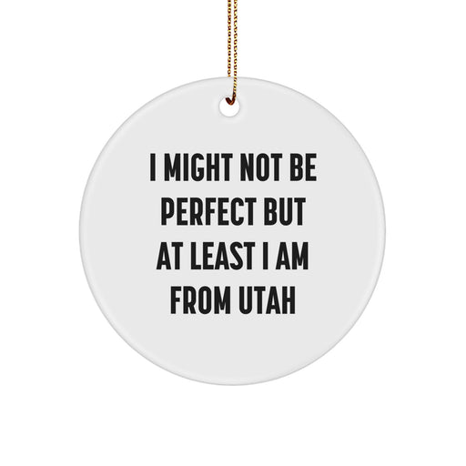 Utah Gifts, Unique Circle Ornaments for Christmas, 'I Might Not Be Perfect' Funny Quote, Gifts from Friends and Family - Image 1