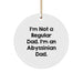 Abyssinian Cat Lovers Gifts from Men, Funny Christmas Unique Gifts for Abyssinian Cat Owners, 'I'm Not A Regular Dad. I'm An Abyssinian Dad.' Circle Ornament - Image 1