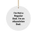 Abyssinian Cat Lover Gifts from Men - Funny Dad Christmas Unique Gifts for Abyssinian Cat Enthusiasts - Circle Ornament with I'm Not A Regular Dad. I'm An Abyssinian Dad. - Image 1