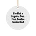 Funny Boston Terrier Dad Gifts from Men to Family for Christmas Unique Ornaments - Image 1