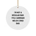 Funny Cardigan Welsh Corgi Dad Christmas Unique Gifts for Family Members with Cute Circle Ornament Gifts from Men - Image 1
