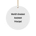 Funny World's Greatest Assistant Principal Circle Ornament, Gifts from Friends, for Assistant Principal, Unique Christmas Unique Gifts - Image 1