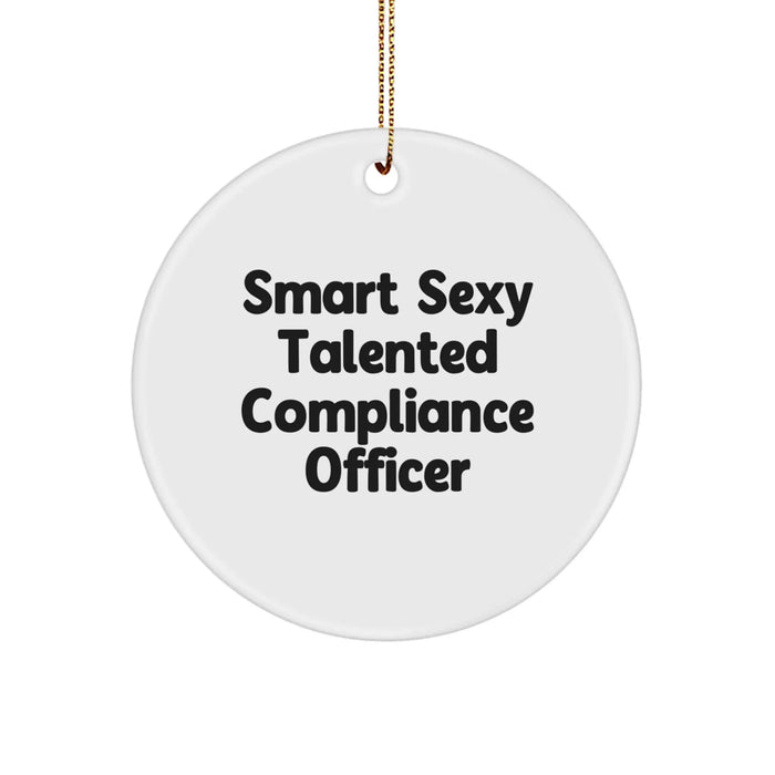 Funny Compliance Officer Christmas Circle Ornament Gifts from Friends for Compliance Officers - Image 1