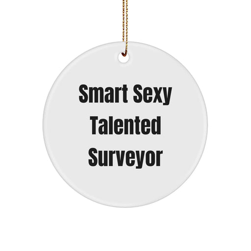Funny Surveyor Gifts for Men, Smart Sexy Talented Surveyor Christmas Unique Gifts from Friends - Image 1