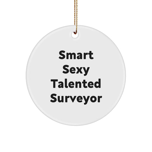 Fun Smart Sexy Talented Surveyor Circle Ornament Gifts from Friends, Surveyor Christmas Unique Gifts, Gifts for Surveyor - Image 1