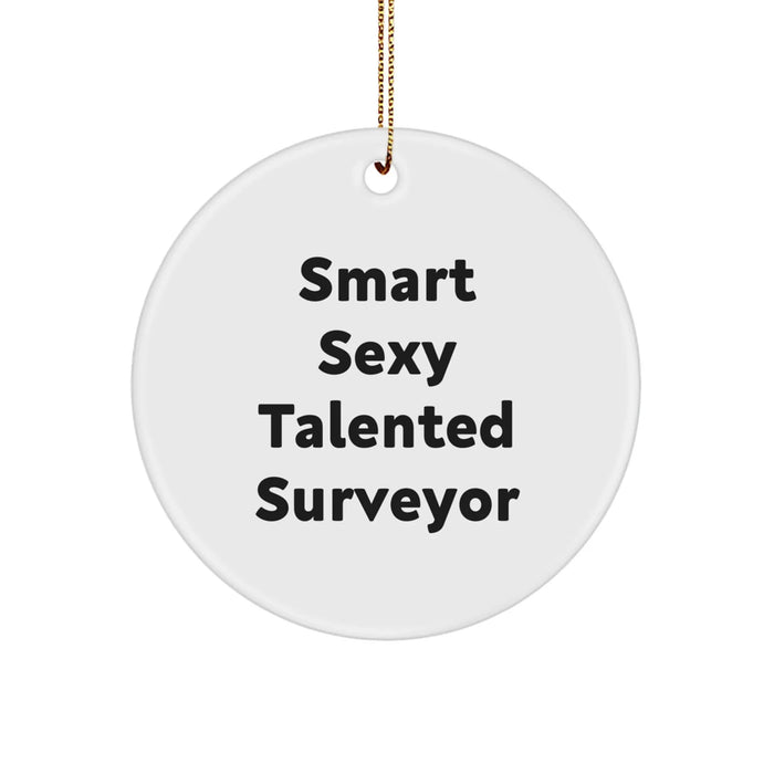 Fun Smart Sexy Talented Surveyor Circle Ornament Gifts from Friends, Surveyor Christmas Unique Gifts, Gifts for Surveyor - Image 1