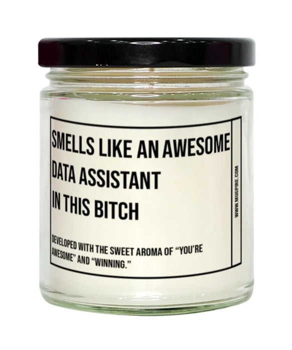 Funny Data Assistant Candle, Smells Like an Awesome Data Assistant, Gift for Data Assistant, Candle for Data Assistant, Adult Data Assistant Humor, Gag Gift Data Assistant, Data Assistant Christmas, Birthday