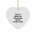 Funny Nurse Gifts for Nurses, 'This Is What An Awesome Nurse Looks Like' Heart Ornament, Christmas Unique Gifts from Men to Women - Image 1