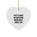 Funny Oncologist Gifts from Family for Christmas Unique Heart Ornament with Inspirational Quote - An Awesome Oncologist Looks Like - White Heart Shaped MDF - Image 1