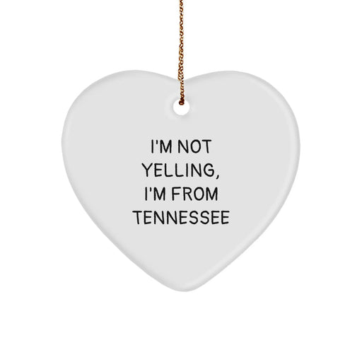 Funny Tennessee Heart Ornament Gifts from Friends and Family for Tennessee Lovers' Christmas Unique Gifts - Image 1