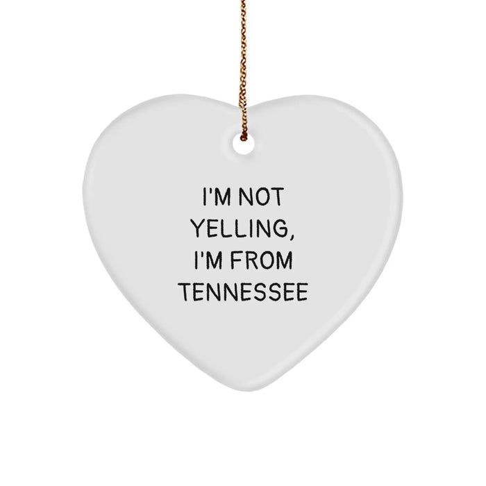 Funny Tennessee Heart Ornament Gifts from Friends and Family for Tennessee Lovers' Christmas Unique Gifts - Image 1