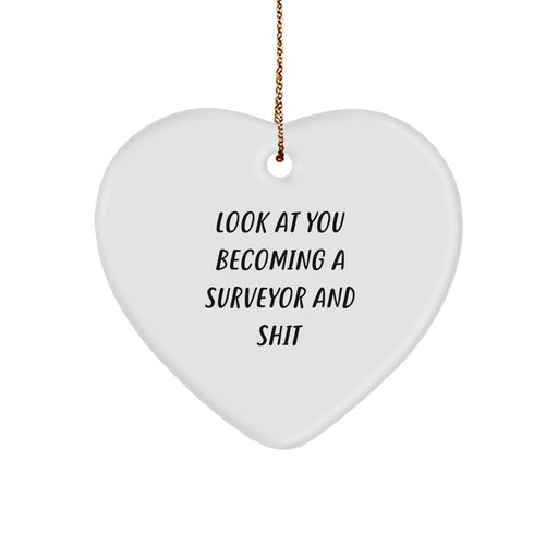 Funny Heart Ornament for Surveyor Friends Gifts from Men, Christmas Unique Gifts for Surveyor, Men, Friends, Coworkers, Family - Image 1