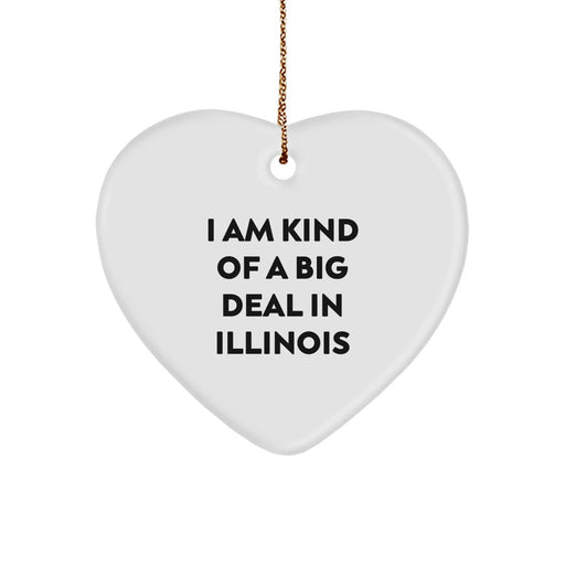 Funny Illinois Gifts from Friends for Illinois, Heart Ornament with Quote 'I Am Kind Of A Prime Selection In Illinois', Unique Christmas Unique Gifts for Family, Perfect Illinois Home Decor - Image 1
