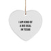 Funny Texas Gifts for Friends from I Am Kind Of A Prime Selection In Texas Heart Ornament, Texas Christmas Unique Gifts - Image 1