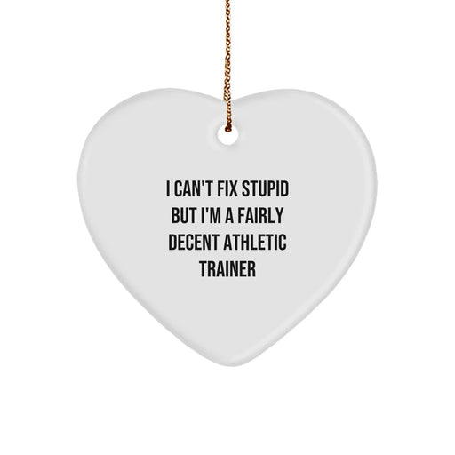 Funny Athletic Trainer Gifts from Men to Friends with a Heart Ornament Quote - I Can't Fix Stupid - Image 1