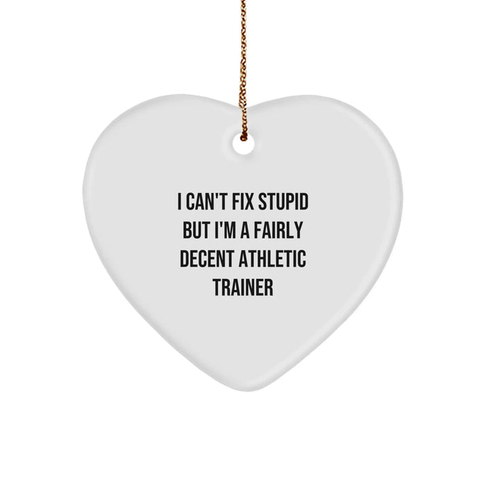 Funny Athletic Trainer Gifts from Men to Friends with a Heart Ornament Quote - I Can't Fix Stupid - Image 1