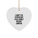 Funny Lawyer Gifts from Men to Friends - I Can't Fix Stupid But I'm A Fairly Decent Lawyer Heart Ornament, Christmas Unique Gifts for Lawyer Men - Image 1