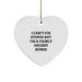 Funny Nurse Gifts from Women to Friends - Heart Ornament I Can't Fix Stupid But I'm A Fairly Decent Nurse, Cute Nurse Christmas Unique Gifts for Nurse - Image 1