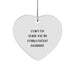 Funny Quote Podiatrist Gift Heart Ornament Gifts from Family for Christmas Unique - Image 1