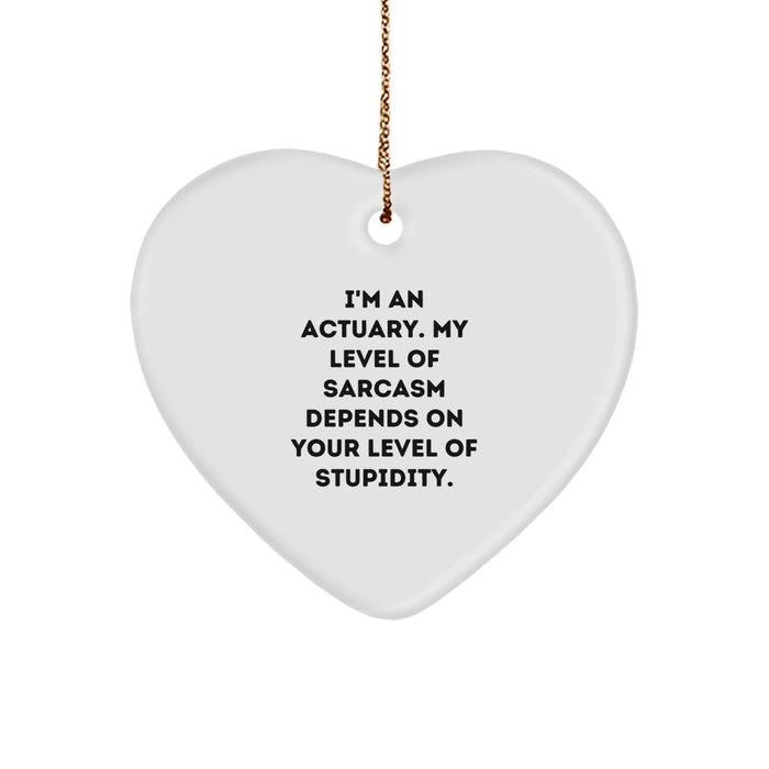 Funny Actuary Gifts from Men to Actuary Friends on Christmas Unique Gifts with Quote - Heart Ornament - Image 1