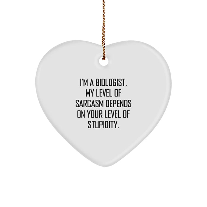 Funny Biologist Heart Ornament Gifts from Friends to Biologist, Christmas Unique Ornaments for Biologist - Image 1