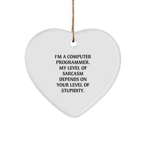 Funny Sarcasm Heart Ornaments for Computer Programmers, Gifts from Friends or Family, Unique Christmas Unique Gifts for Men or Women - Image 1