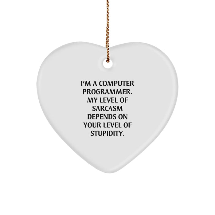 Funny Sarcasm Heart Ornaments for Computer Programmers, Gifts from Friends or Family, Unique Christmas Unique Gifts for Men or Women - Image 1