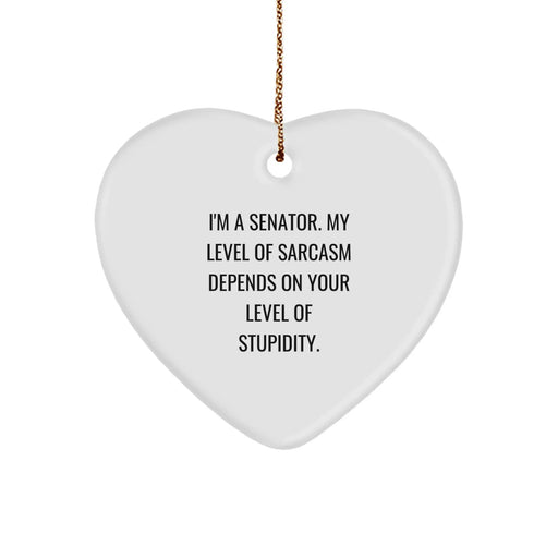 Funny Senator Christmas Unique Gifts, Heart Ornament for Senator, Gift from Men, Sarcasm Level Depends on Your Stupidity, Senator Gift Ideas, Senator Heart Ornament - Image 1