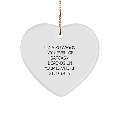 Funny Surveyor Gifts for Men, Heart Ornament, I'm A Surveyor, My Level Of Sarcasm Depends On Your Level Of Stupidity, Christmas Unique Gifts from Family - Image 1