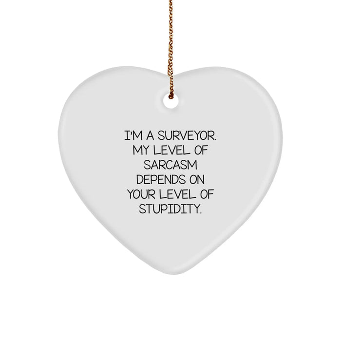 Funny Surveyor Gifts for Men, Heart Ornament, I'm A Surveyor, My Level Of Sarcasm Depends On Your Level Of Stupidity, Christmas Unique Gifts from Family - Image 1