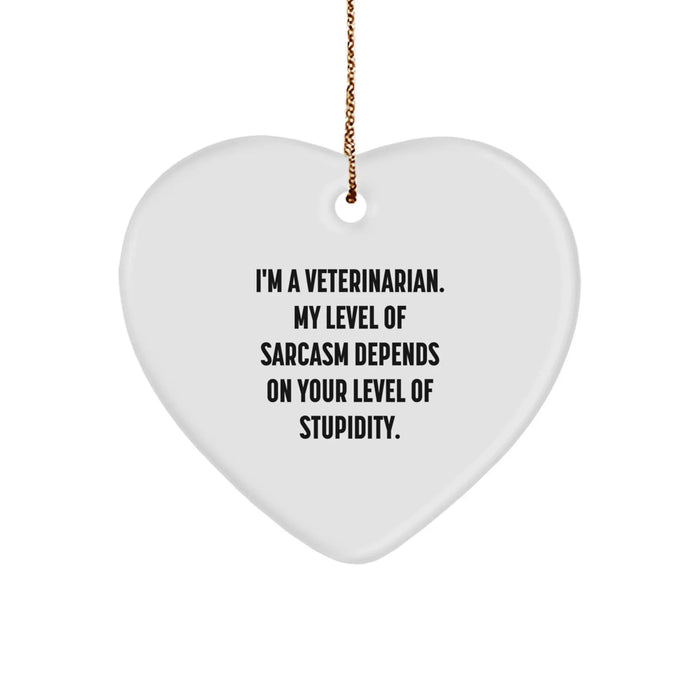 Funny Veterinarian Heart Ornament Gifts from Friends, Family, or Coworkers for a Christmas Unique Gift - Image 1