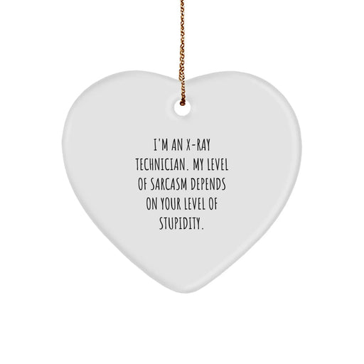 Funny X-Ray Technician Gifts for Him, Heart Ornament with Sarcasm Quote, Christmas Unique Gifts from Men to Coworkers - Image 1