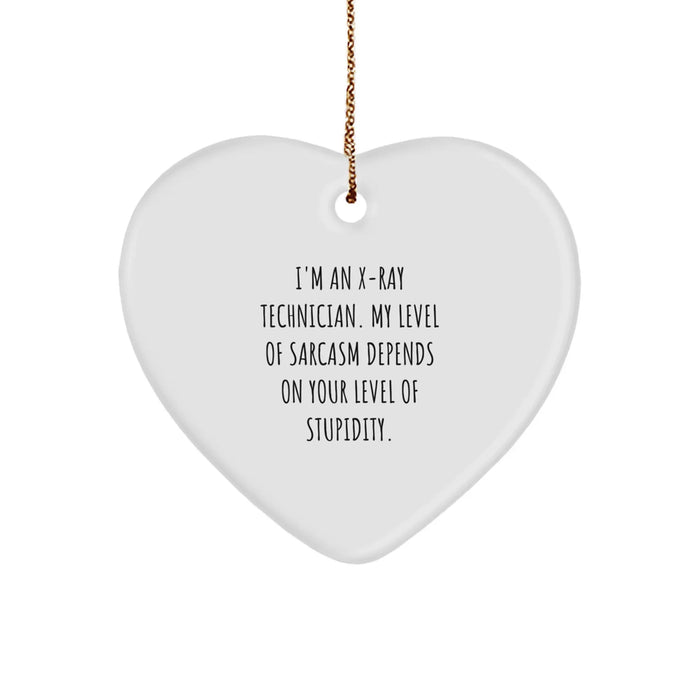 Funny X-Ray Technician Gifts for Him, Heart Ornament with Sarcasm Quote, Christmas Unique Gifts from Men to Coworkers - Image 1